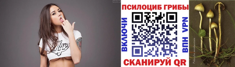 Купить  Балей  Псилоцибиновые грибы мухоморы 